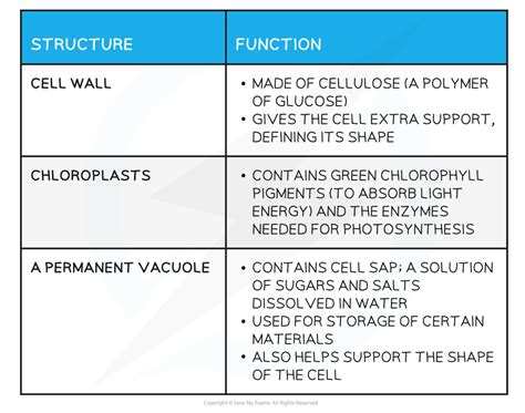 Animal And Plant Cells Aqa Gcse Biology Combined Science Revision