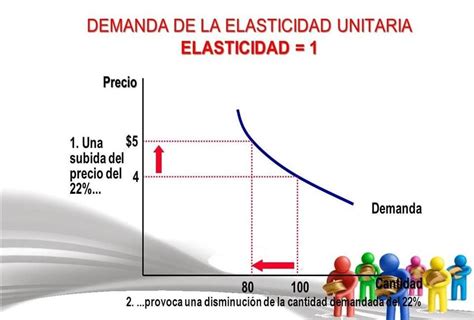 Ejemplos De Elasticidad