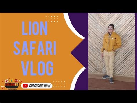 Lion Safari Vlog With Jkms Cool Vlog In Silvas Very Best Trip