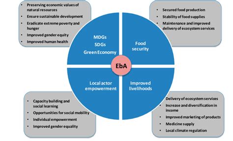 Social Impacts Of Ecosystem Based Adaptation EbA On National And