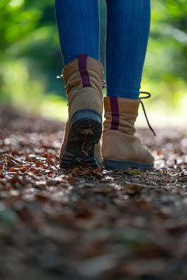 Natursteig Sieg Etappe Kirchen Bis Mudersbach Wandern