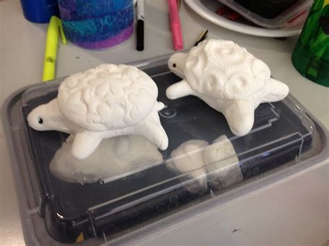 Model Magic Clay Turtles Before They Are Painted I Had The Students