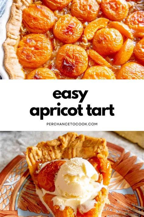 Easy Apricot Tart Made With Store Bought Crust Recipe In