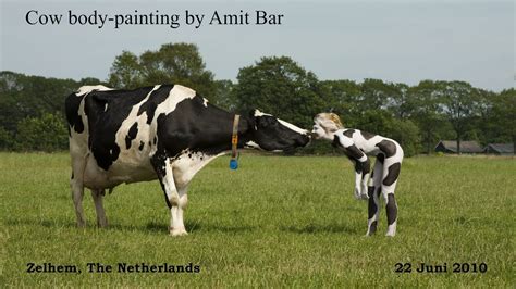 Cow Body Painting By Amit Bar Youtube