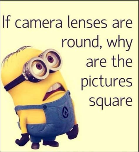 Minion Quotes Best Funny Minion Quotes With Pictures