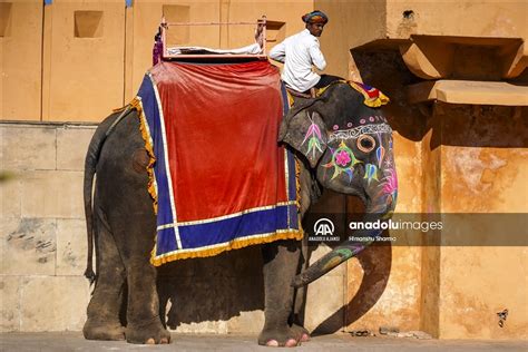 Hindistan N Unesco D Nya Miras Listesinde Yer Alan Nl Amber Kalesi