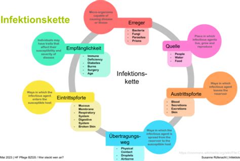 Infektion Karteikarten Quizlet