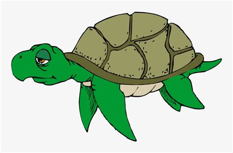 Turtle Clipart Png Transparent - Old Sea Turtle Clipart - 750x461 PNG ...