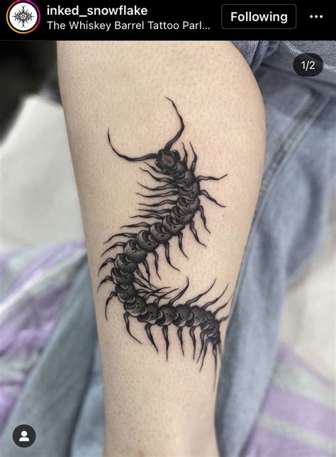 Centipede Tattoo In 2023 Back Tattoos For Guys Black Snake Tattoo