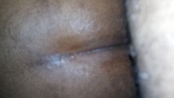 Enfoncer Dans Les Bois XVIDEOS