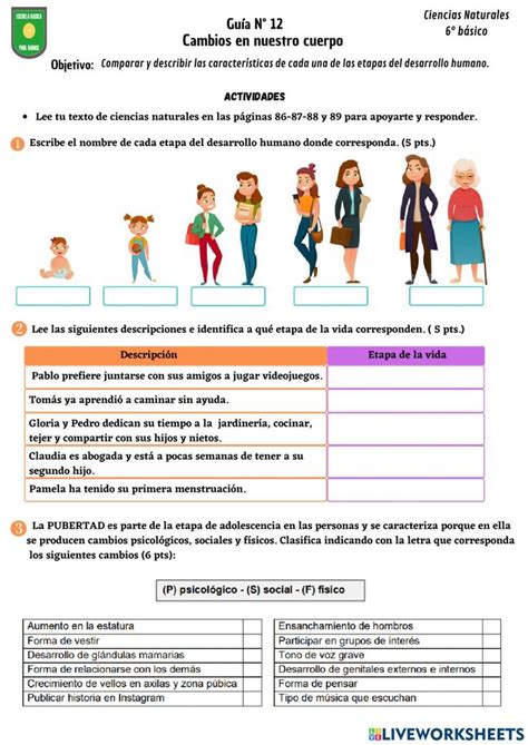 Gu A N Cambios En Nuestro Cuerpo Worksheet Etapas Del Desarrollo