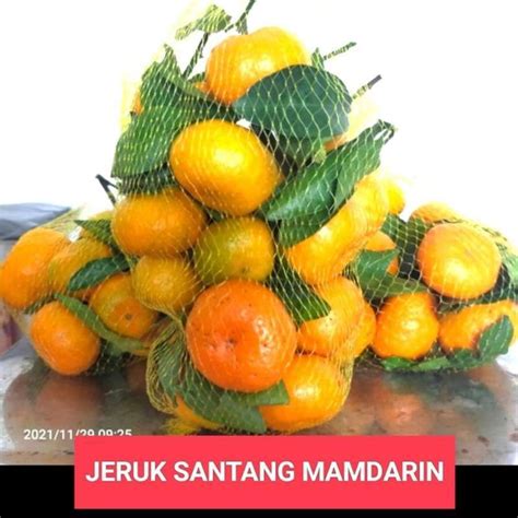 Jual Buah Jeruk Impor Sunkist Lemon Santang Ponkan Wogan Murcot