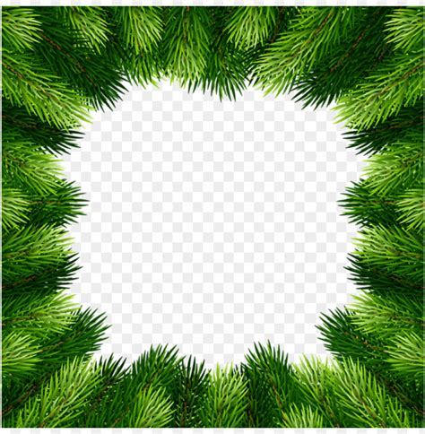 Pine Branches Border Frame Png Images Toppng