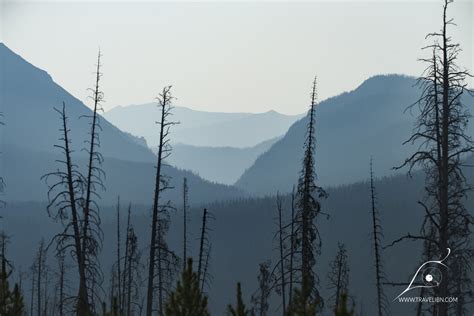 Avalanche Peak Trail — Inspired By Nature