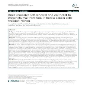 Bmi1 Regulates Self Renewal And Epithelial To Mesenchymal Transition In