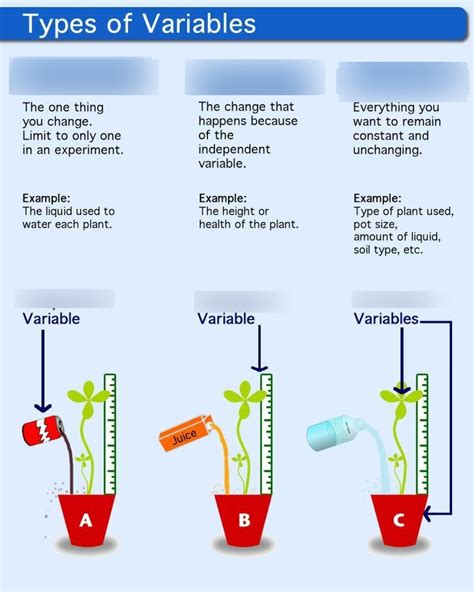 5 1 Scientific Investigation Diagram Quizlet