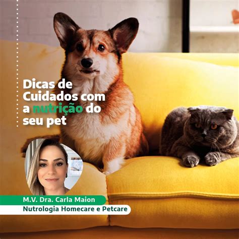 Nutri O Para Os Pets Na Quarentena Not Cias Vetnil