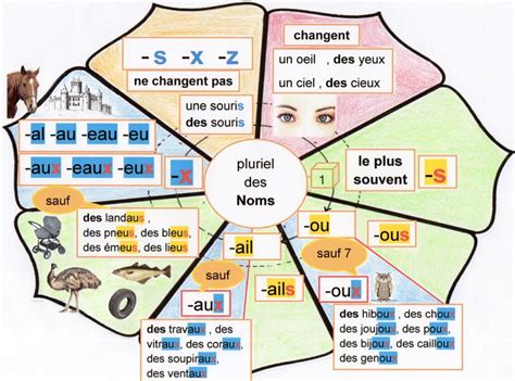 Le Pluriel Des Noms Des R Gles Et Des Exceptions Fantadys