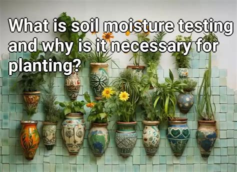 What Is Soil Moisture Testing And Why Is It Necessary For Planting