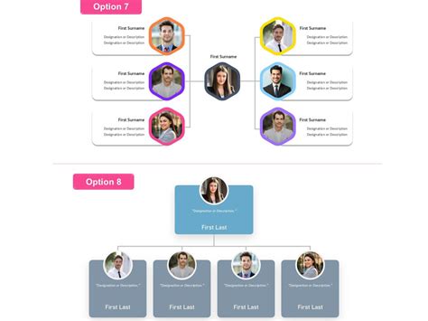 Professional Organizational Chart Hierarchy Flowchart Department