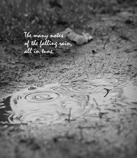 Haiku Poems About Rain