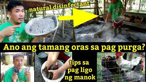 Tamang Oras Sa Pag Purga Natural Na Disinfectant Youtube