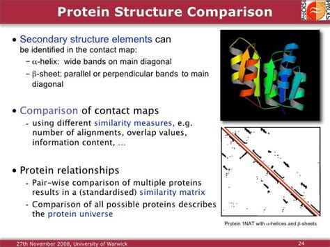 Protein Structure Alignment and Comparison