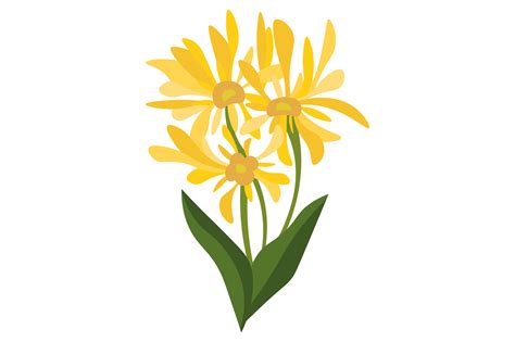 Kentucky State Flower Solidago Gigantea Svg Cut File By Creative