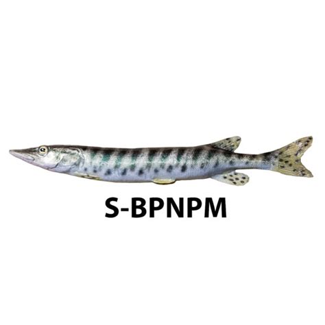 Muskie Habitat Fish Replica | Research Mannikins Taxidermy Supply