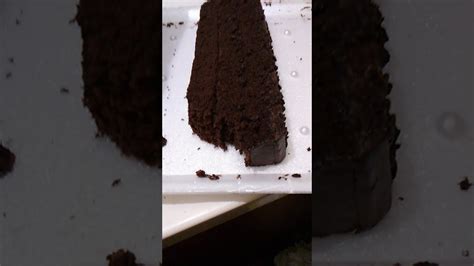 Product Review Pepperidge Farm Chocolate Fudge Layer Cake Youtube