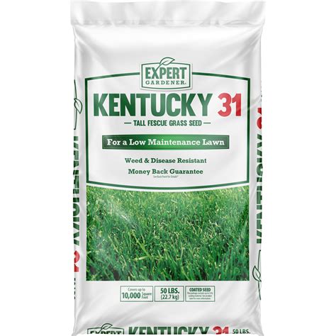 Expert Gardener Kentucky 31 Tall Fescue Grass Seed 50 Pound Bag Brickseek