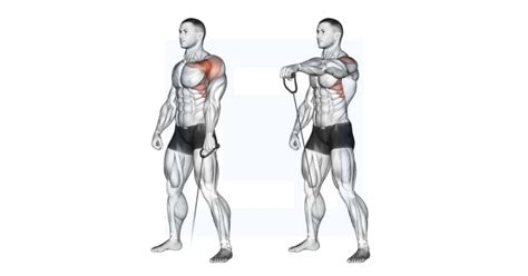 Cable Leaning Lateral Raise - Guide, Benefits, and Form