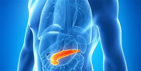 Tumore Pancreas Trattato Ablazione Non Termica All Opedale Di Terni