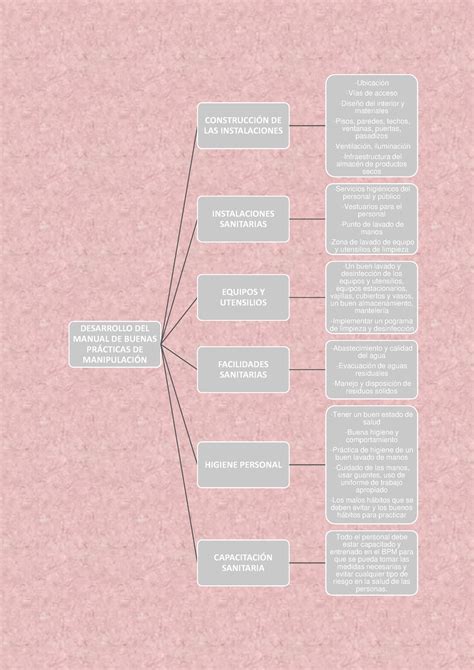 Mapa conceptual BPM BPM DESARROLLO DEL MANUAL DE BUENAS PRÁCTICAS