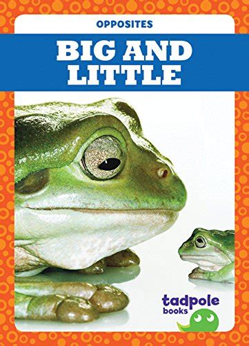 Big And Little Tadpole Opposites 9781620317501 Erica Donner Books