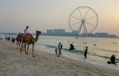 Jumeirah Beach, Dubai Marina, Dubai, United Arab Emirates Photograph by Jamie Baldwin - Fine Art ...