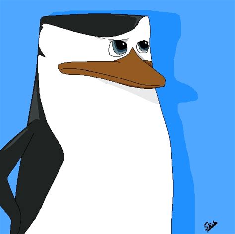 Skipper With Kowalski S Expression Penguins Of Madagascar Fan Art