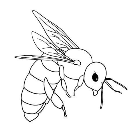 Ilustraci N De Contorno De Abeja Dibujada A Mano Vector Gratis