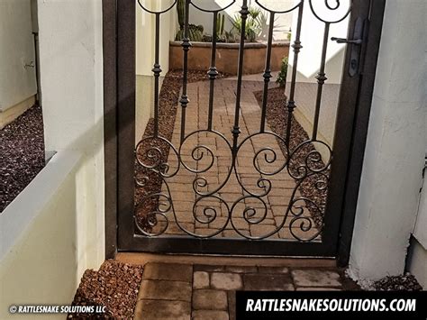 Snake Fence Installations - Don't Wait Until a Snake Shows Up - Rattlesnake Solutions