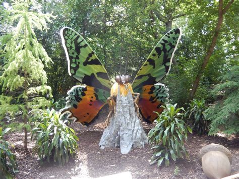 6/24/2016 - Madagascan Sunset Moth - ZooChat