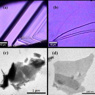 Color Online X Ray Diffraction Pattern For Bi 2 Te 3 Single Crystal