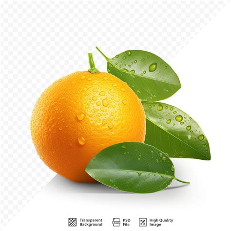 Uma foto de uma laranja e uma folha água cai sobre ela PSD Premium