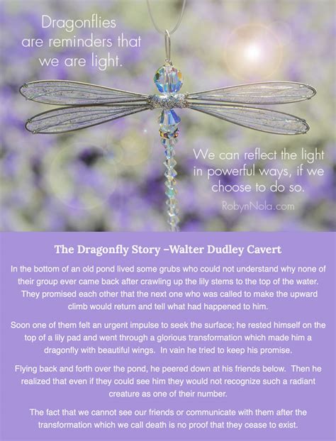 The Dragonfly Story by Walter Dudley Cavert | Robyn Nola Gifts