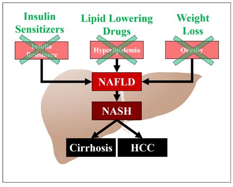 Diseases Free Full Text Judicious Use Of Lipid Lowering Agents In