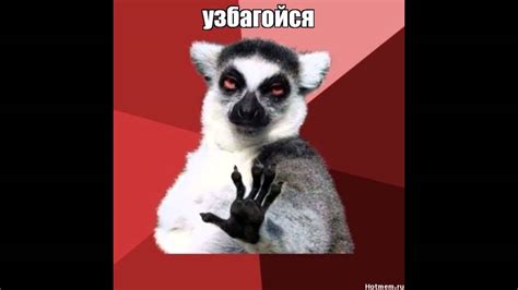 Узбагойся - YouTube