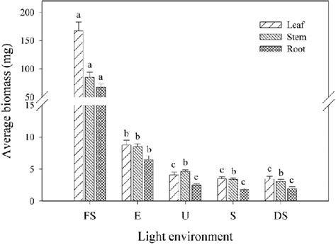 Total Leaf Stem And Root Biomass Of Berberis Darwinii Seedlings Grown