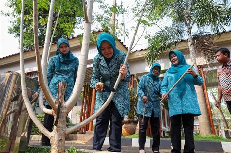 Tp Pkk Provinsi Banten Luncurkan Gerakan Sejuta Pohon Kelor Berita Kota