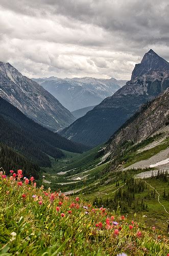 Balu Pass Trail W Flowers Glacier National Park Flickr