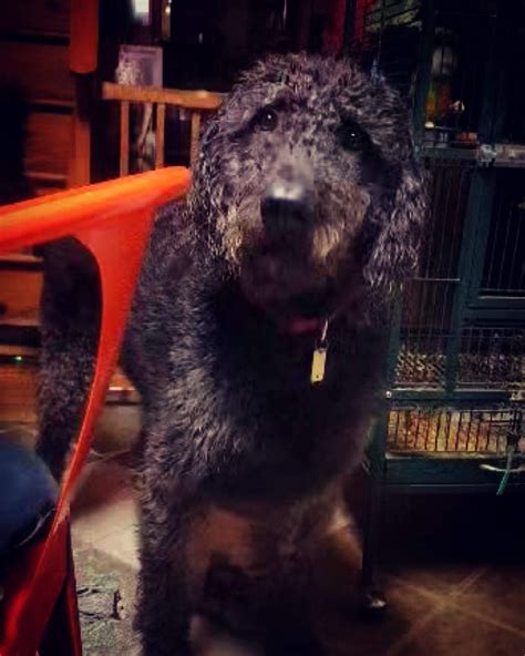 Sheknows gh updates are changing how fans track soap opera drama 5