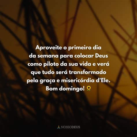 Frases De Bom Dia Domingo Deus Que Transmitem Paz E Conforto